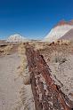 70 petrified forest